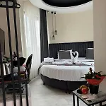 ホテル The Queen Airport Hotel-round Trip Airport Service Arnavutköy
