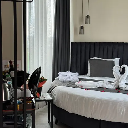 The Queen Airport Hotel-round Trip Airport Service ホテル Arnavutköy
