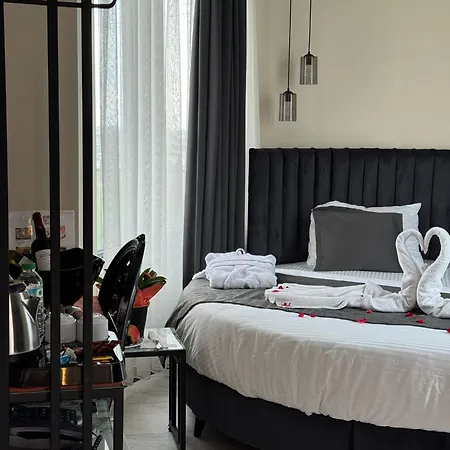 The Queen Airport Hotel-round Trip Airport Service Hotel Arnavutkoy