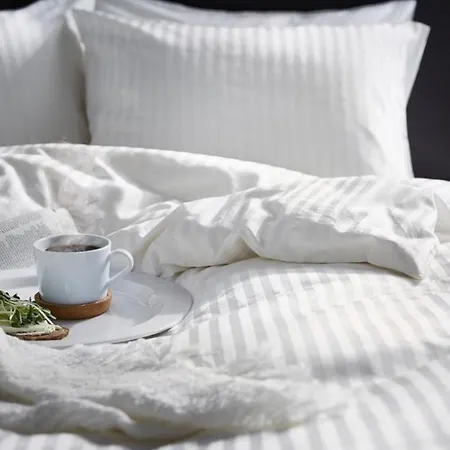 The Queen Airport Hotel-round Trip Airport Service Hotel