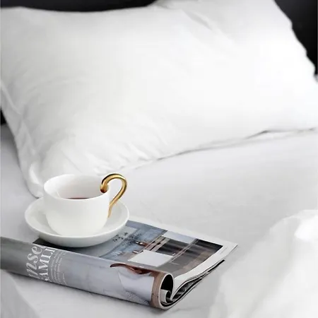 Hotel The Queen Airport Hotel-round Trip Airport Service 4*