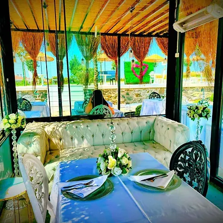 The Queen Airport Hotel-round Trip Airport Service 4*
